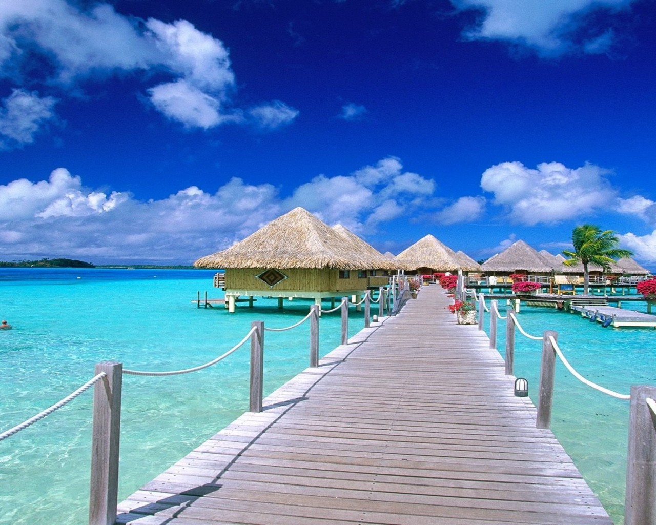 free desktop screensavers tropical islands